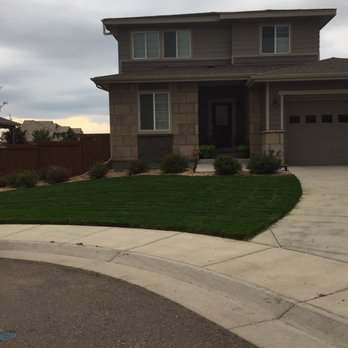 Just Sod - Landscaping Near Me
