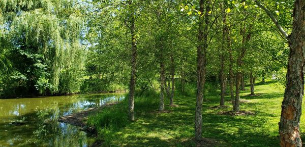 Northern Fauquier Community Park by null