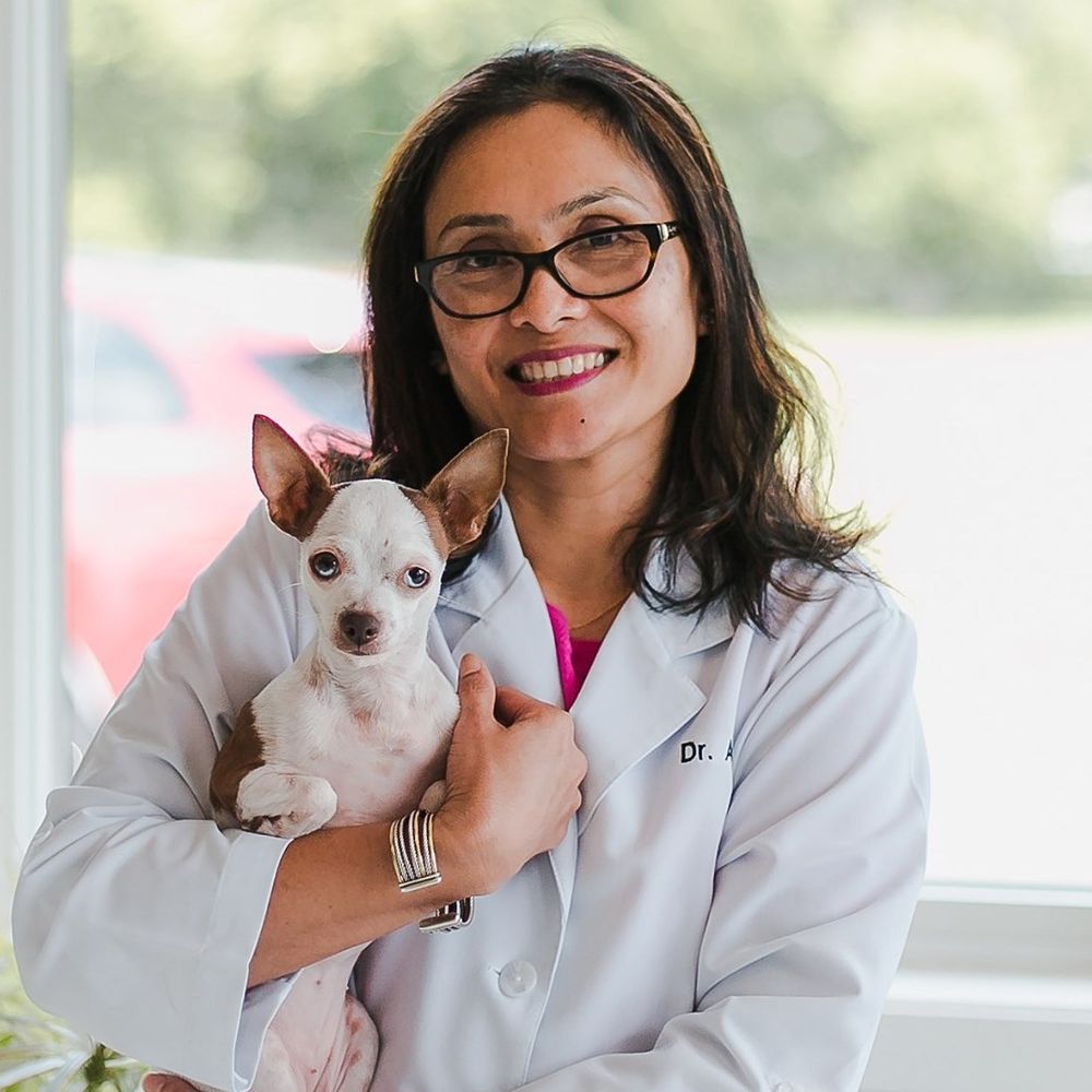 MIDTOWN VETERINARY HOSPITAL Updated August 2024 27 Reviews 85