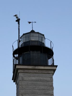 Beavertail State Park by null