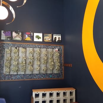 Modcup Coffee - Epiphytes, yo. - Cafes Near Me - Jersey City, New Jersey