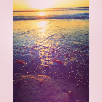 Moonlight State Beach - Along the cliff - Playgrounds Near Me - Encinitas, California