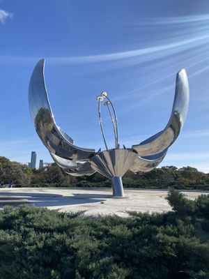 Floralis Generica by null