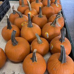 Pavlock Farms - Who's ready for fall and Halloween?