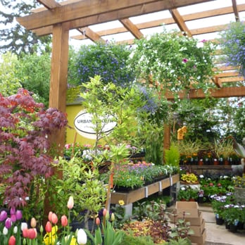 Urban Earth - Nurseries & Gardening Near Me - Seattle, Washington Urban Earth - Nurseries & Gardening Near Me - Seattle, Washington