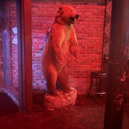 Real (stuffed) bear