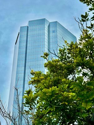 Vineyard cafe by null