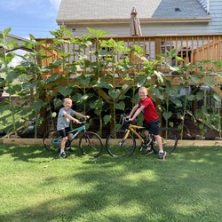 Boneshaker Bicycles - 6yo on his new entry level DK and he loves it!