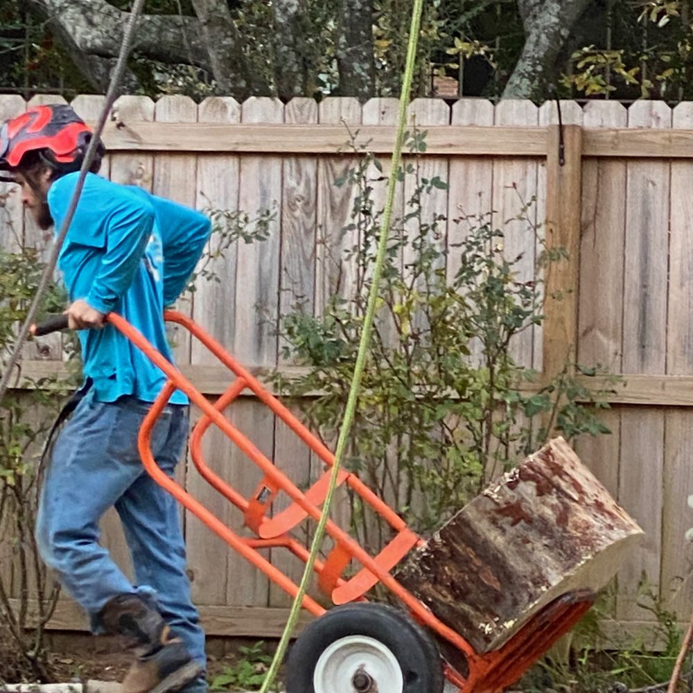 Castle's Tree Service - Tree Services Near Me - tyler, Texas Castle's Tree Service - Tree Services Near Me - tyler, Texas
