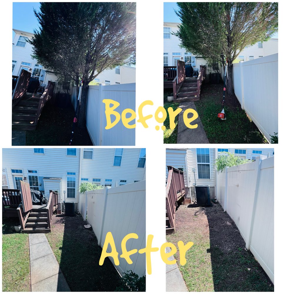 Landscaping and Tree Service Solutions - tree service in Charlotte, NC