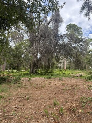 Boca Ciega Millennium Park by null