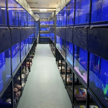 Splash Aquarium - Local Fish Stores Near Me - Sacramento, California Splash Aquarium - Local Fish Stores Near Me - Sacramento, California