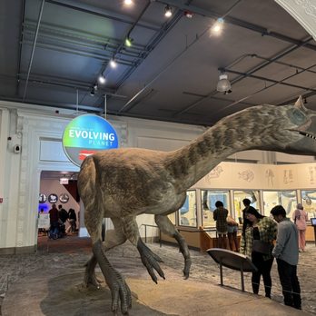 Field Museum - Museums Near Me - Chicago, Illinois
