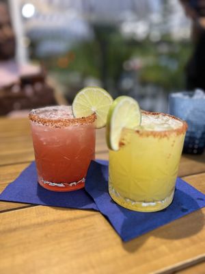 Octopus Baja by null