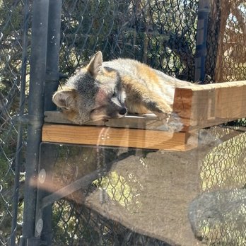 Animal Ark - Zoos Near Me - Reno, Nevada