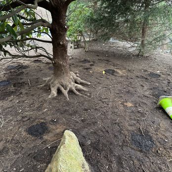 Optimal Arboriculture - Tree Services Near Me