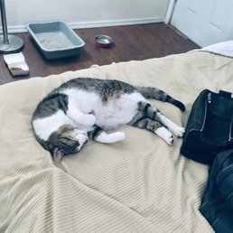 Red Roof Inn: Pet Friendly! Red Roof Inn: Pet Friendly!