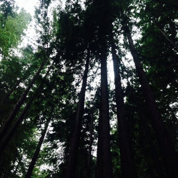 Sam McDonald Park - Parks Near Me - Loma Mar, California
