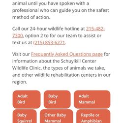 Wildlife Clinic at the Schuylkill Center