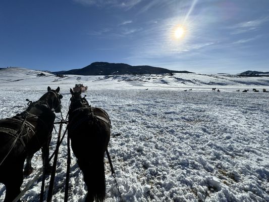 National Elk Refuge & Greater Yellowstone Visitor Center by null