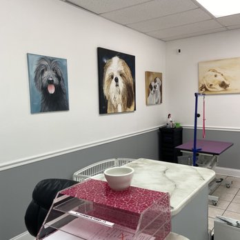 The Soapy Dog - Lobby - Pet Groomers Near Me - Knightdale, North Carolina The Soapy Dog - Lobby - Pet Groomers Near Me - Knightdale, North Carolina