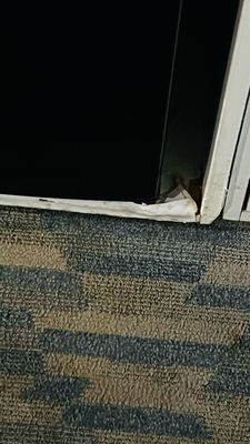 The Domain Hotel Sunnyvale by null