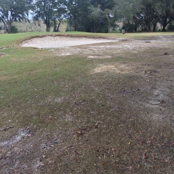 Black Bear Golf Club - Rough looking rough - Golf Near Me - Eustis, Florida