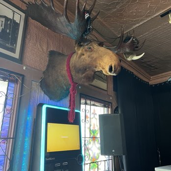 Antlers Tavern - 6/8/2024 a very well loved moose - Bars Near Me - Pinole, California