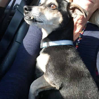 PetSmart - Isaac is done with all the special attention he received this week. - Pet Stores Near Me - Temecula, California