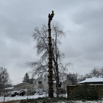ArborTECH Tree Removal & Preservation - #treeservice #treework #arborist #treeremoval #emergencytreeremoval #treetrimming #louisville #louisvilletreeservice #arbortechky.com - Tree Services Near Me - Louisville, Kentucky ArborTECH Tree Removal & Preservation - #treeservice #treework #arborist #treeremoval #emergencytreeremoval #treetrimming #louisville #louisvilletreeservice #arbortechky.com - Tree Services Near Me - Louisville, Kentucky