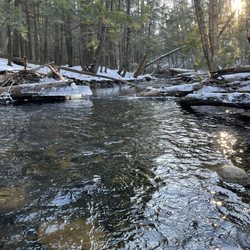 Mill Brook Preserve