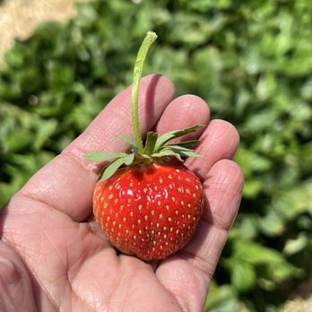 Farms View Roadstand - Perfect - Farmers Market Near Me - Wayne, New Jersey