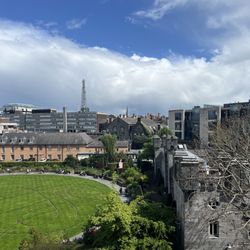 Chester Beatty Roof Garden - View from the garden