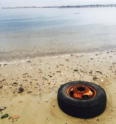 Dead Horse Bay by null