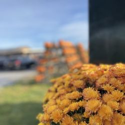 Schmitt's Farm Stand on Sound