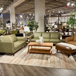 Red Knot Pearlridge