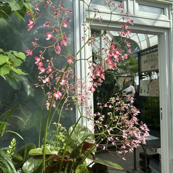 Volunteer Park Conservatory - Parks Near Me - Seattle, Washington Volunteer Park Conservatory - Parks Near Me - Seattle, Washington