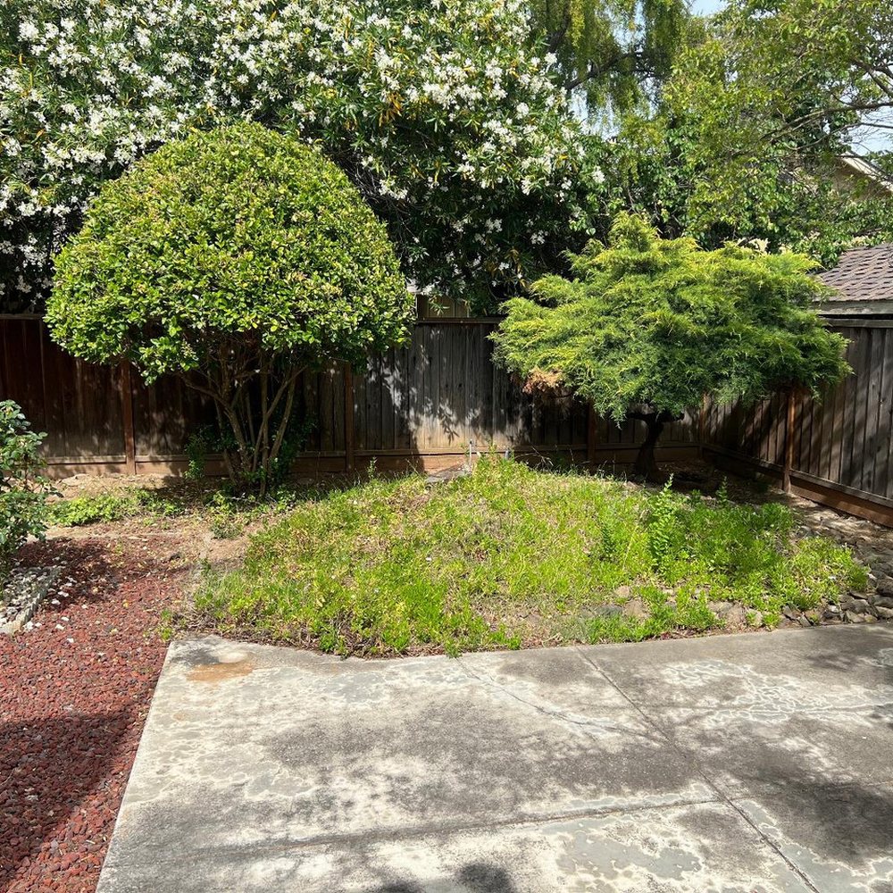 Mateos Landscaping - Backyard right side before. - Landscaping Near Me Mateos Landscaping - Backyard right side before. - Landscaping Near Me