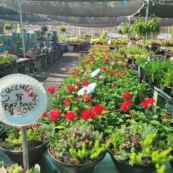 Midtown Nursery - Nurseries & Gardening Near Me - Memphis, Tennessee Midtown Nursery - Nurseries & Gardening Near Me - Memphis, Tennessee