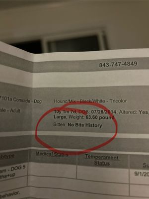 Charleston Animal Society by null