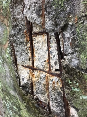 Green Island by null