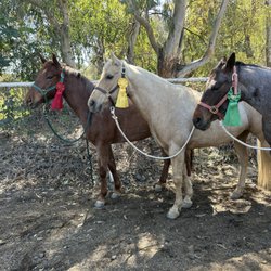 Heavens Ranch Norco - Such a cool pic