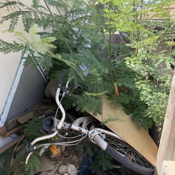Onsite Hauling - Before - Junk Removal & Hauling Near Me Onsite Hauling - Before - Junk Removal & Hauling Near Me
