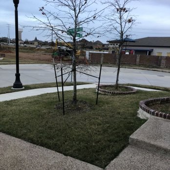Solis Masonry - Flowerbed retaining wall around tree - Masonry/Concrete Near Me Solis Masonry - Flowerbed retaining wall around tree - Masonry/Concrete Near Me