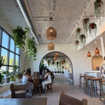Palomino Coffee - Coffee Roasteries Near Me - Austin, Texas