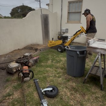Miller Tree Care - Tree Services Near Me Miller Tree Care - Tree Services Near Me