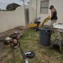 Miller Tree Care