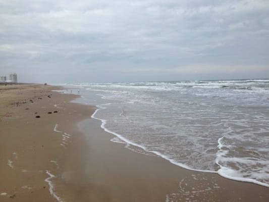 Andy Bowie County Park by null