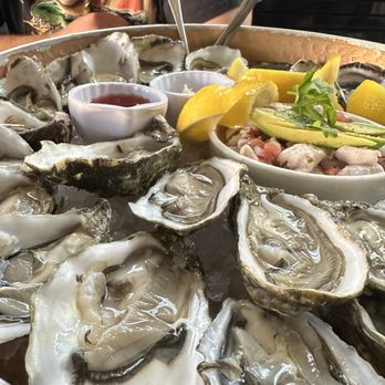 Ironside Fish & Oyster - Oysters - Seafood Near Me - San Diego, California Ironside Fish & Oyster - Oysters - Seafood Near Me - San Diego, California