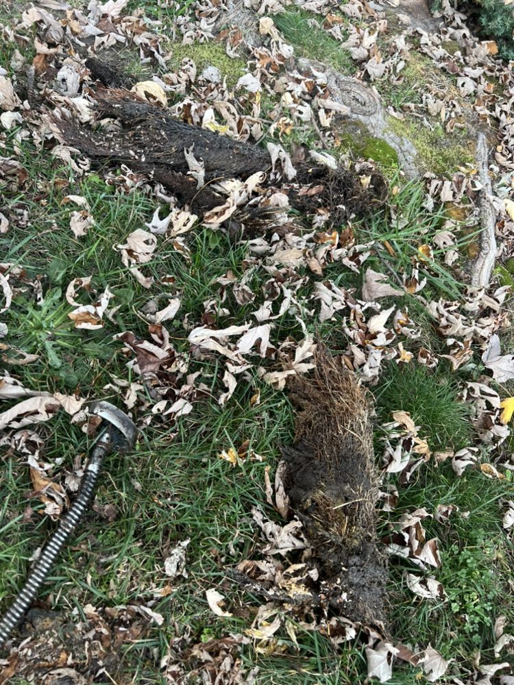 Slide of DV Drain Solutions